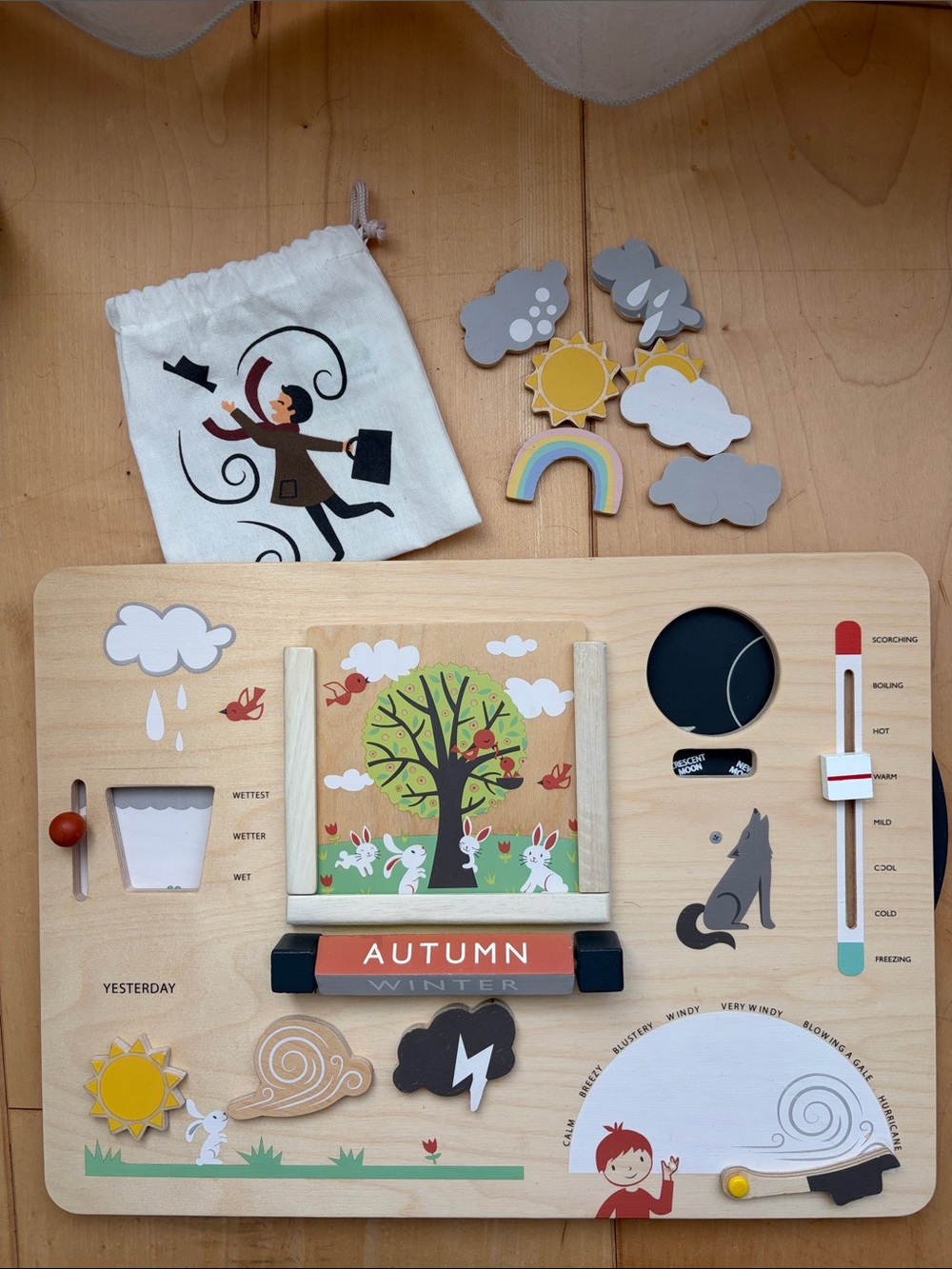 Tender Leaf Toys Weather Watch